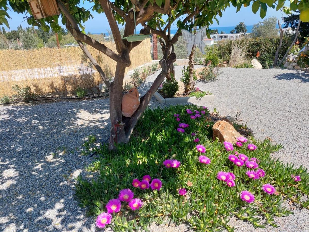 Ktima Natura أرخانجلوس المظهر الخارجي الصورة