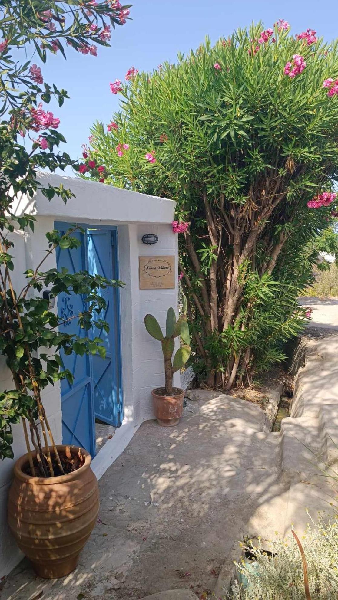 Ktima Natura أرخانجلوس المظهر الخارجي الصورة